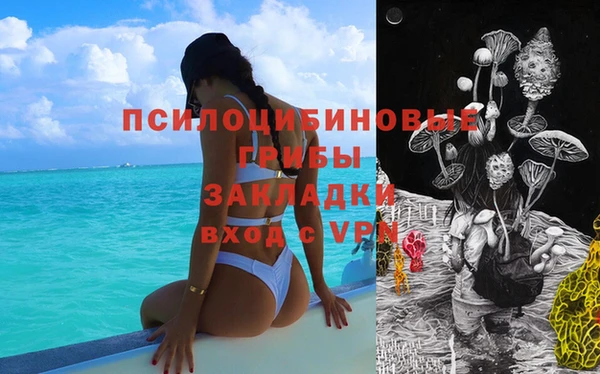 spice Абаза