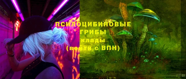 стафф Нягань